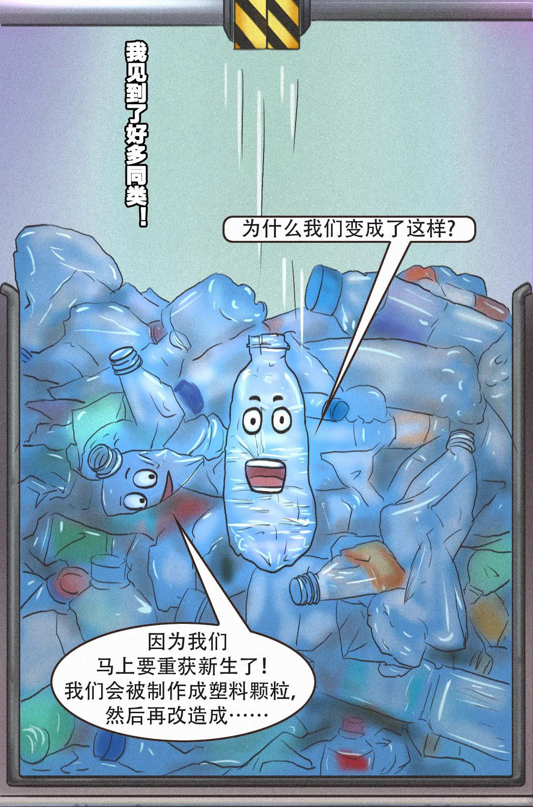 15.webp.jpg